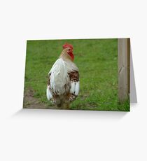 Mattson - Swedish Flower Hen Rooster Greeting Card