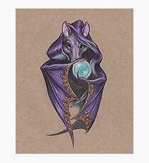 Wizard Bat (with Crystal Ball) Photographic Print