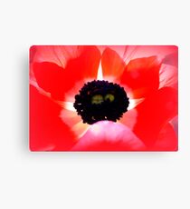 Translucent Canvas Print