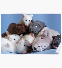 Rat pile Poster