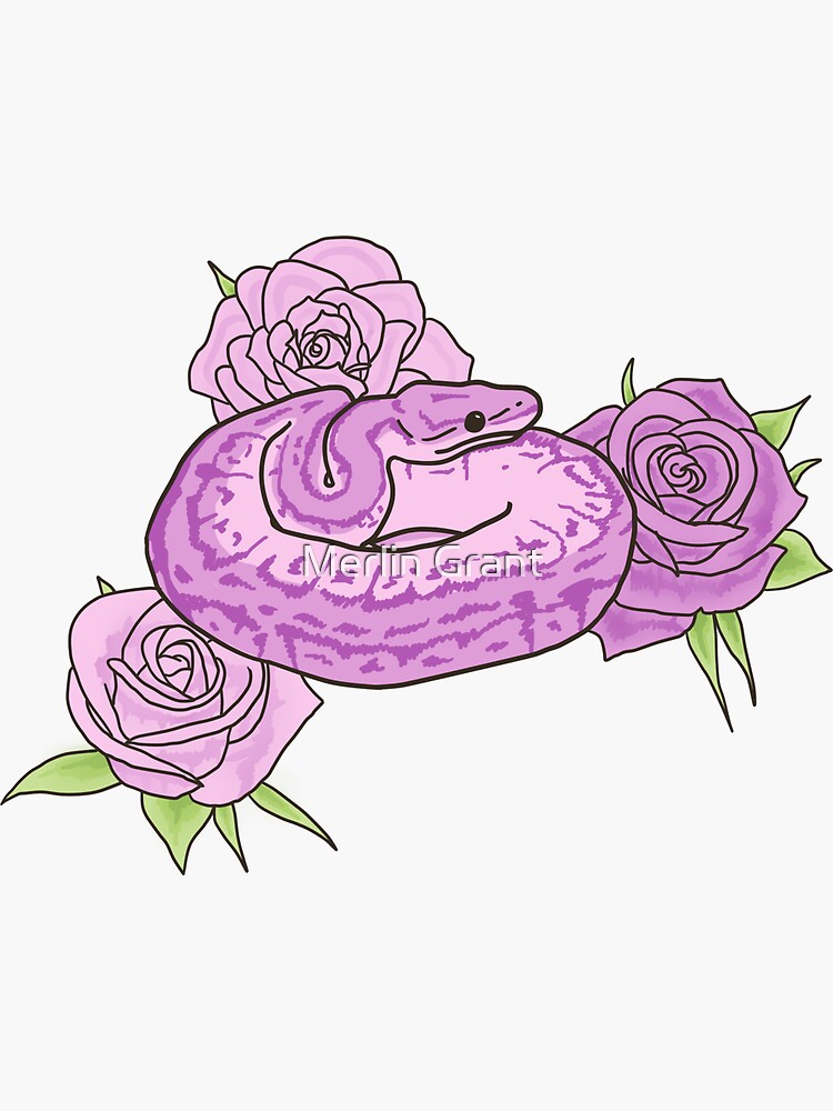 ml rose for anaconda distribution python
