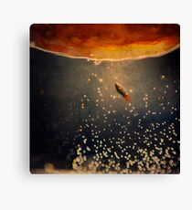 toward the sun Canvas Print