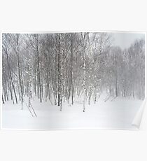 winter snowstorm Poster