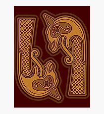 Dragons Head Photographic Print