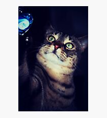 Happy Birthday Tasha <3 Photographic Print