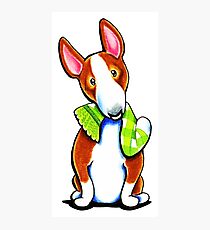 Red Bull Terrier Lets Play Photographic Print