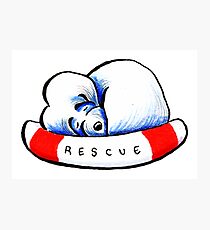Maltese Rescue Photographic Print