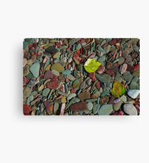 Coloured Stones Canvas Print