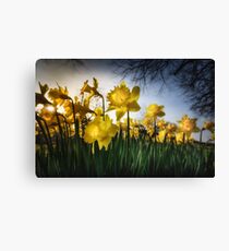 Happy & Glorious Canvas Print