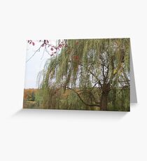 Under The Willow Greeting Card