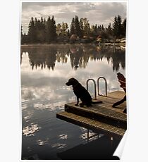 The Dock Poster