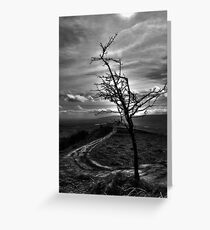 On The Skirrid Greeting Card