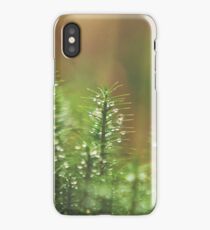 Ireland - Nature - Ravensdale iPhone Case/Skin