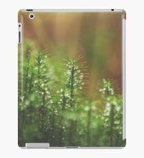 Ireland - Nature - Ravensdale iPad Case/Skin