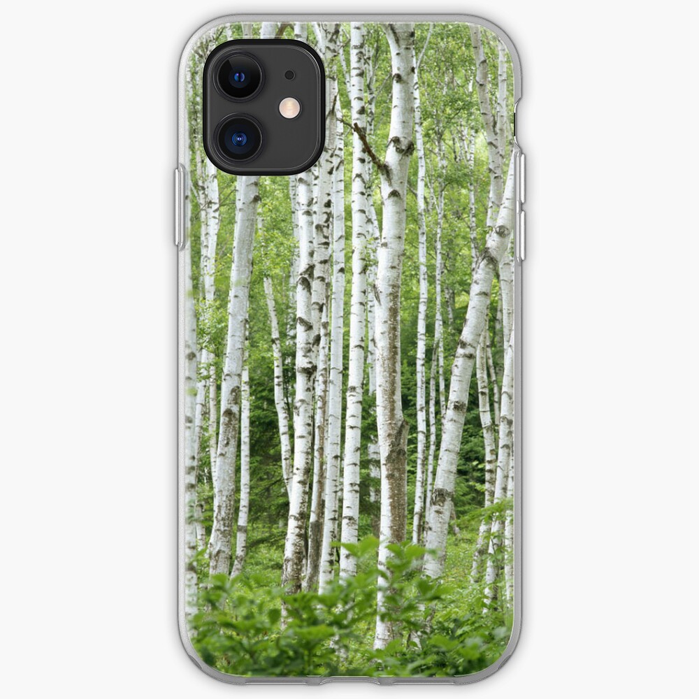 In the Birch Trees iPhone 11 case In the Birch Trees iPhone 11 case