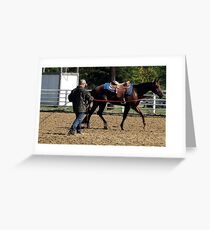 Quarter Horse Early Morning Warm Up Greeting Card