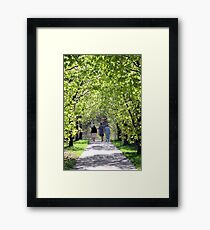 Three Friends Framed Print