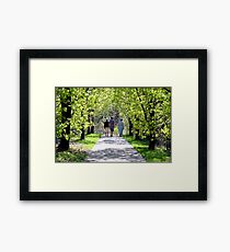 Three Friends Framed Print