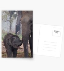 Mother and Babe Postcards