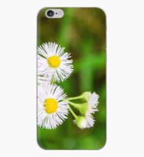 Daisy Fleabane iPhone Case