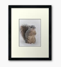 Please... Framed Print
