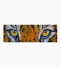 Lámina fotográfica Tiger Eyes