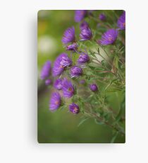 Flower - Color Canvas Print