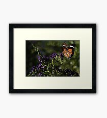 Flutter Flutter Framed Print