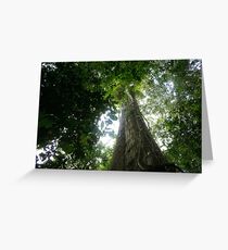 Foilage Greeting Card