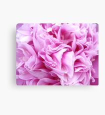 Pink Papery Peony Canvas Print