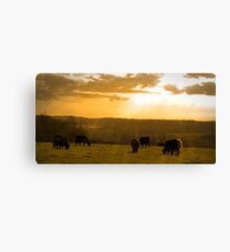 Wide Open Spaces Canvas Print