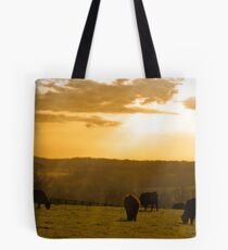Wide Open Spaces Tote Bag