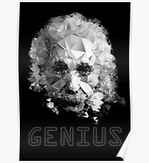 Genius Poster