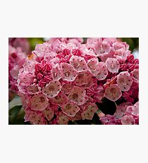 Bundle Photographic Print