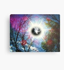 Natural Resources Metal Print