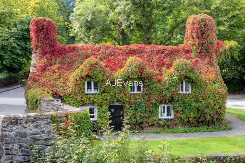 "Ivy Cottage Llanrwst north Wales " by Adrian Evans Redbubble