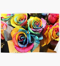 Colorful Bouquet of Rainbow Roses Poster