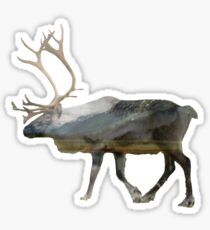 Pegatina Reindeer Road to Homer