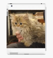 Cat iPad Case/Skin