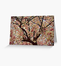 Natures Paintbrush Greeting Card