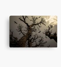 Scary!!! Canvas Print