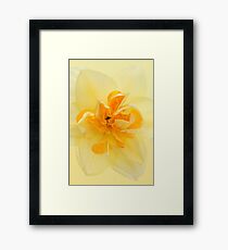Double Daf Framed Print