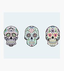 Lámina fotográfica Calaveras de azúcar