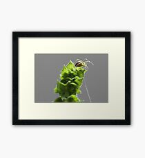 Getting ready to abseil. Framed Print