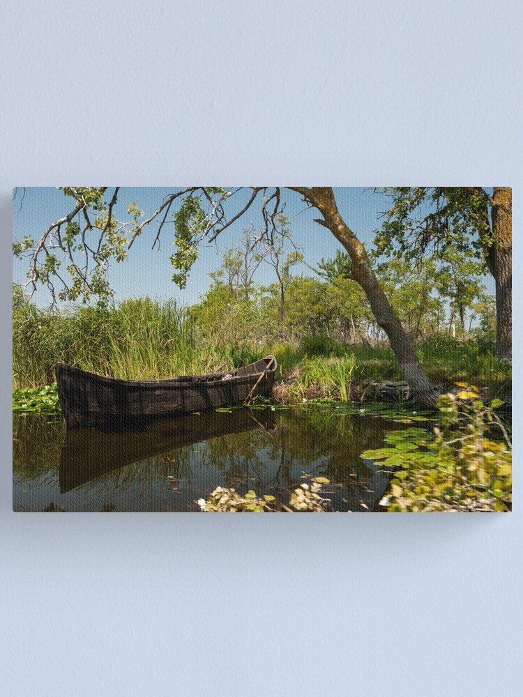 Alternate view of Cardon Canvas Print