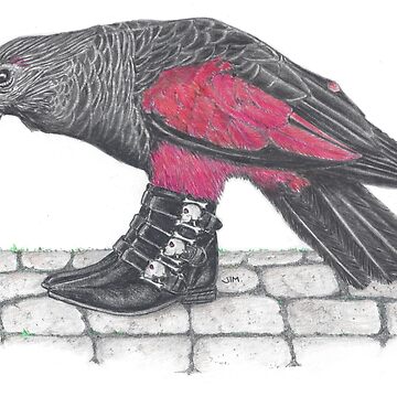 Artwork thumbnail, Dracula parrot in skull buckle boots by JimsBirds
