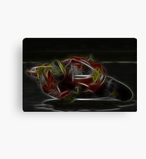 MotoGP Canvas Print