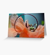 Springing Back Greeting Card
