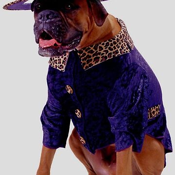 Pimp discount dog costume