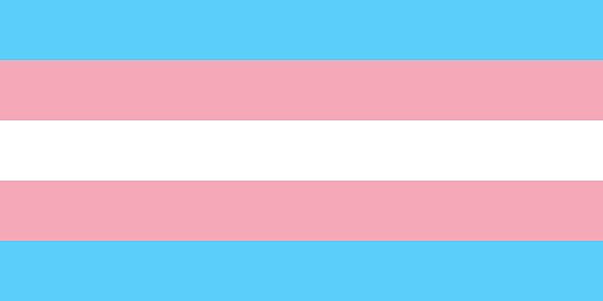 "Transgender flag" Poster by animalnikki | Redbubble